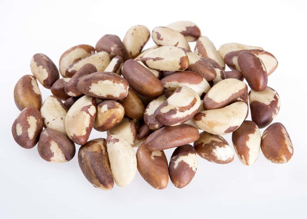 brazil nut